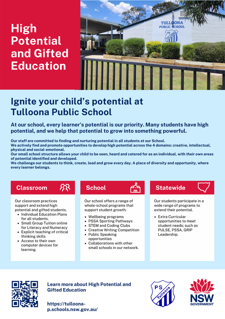 Learn more about how you can ignore your child's potential with our High Potential and Gifted Education opportunities.